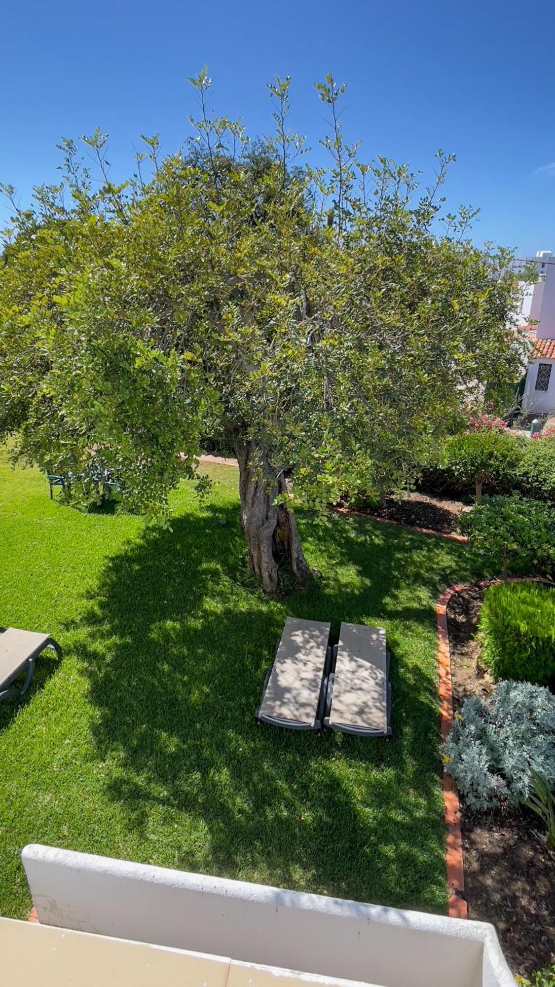 Verde Pino Vilamoura Eksteriør billede